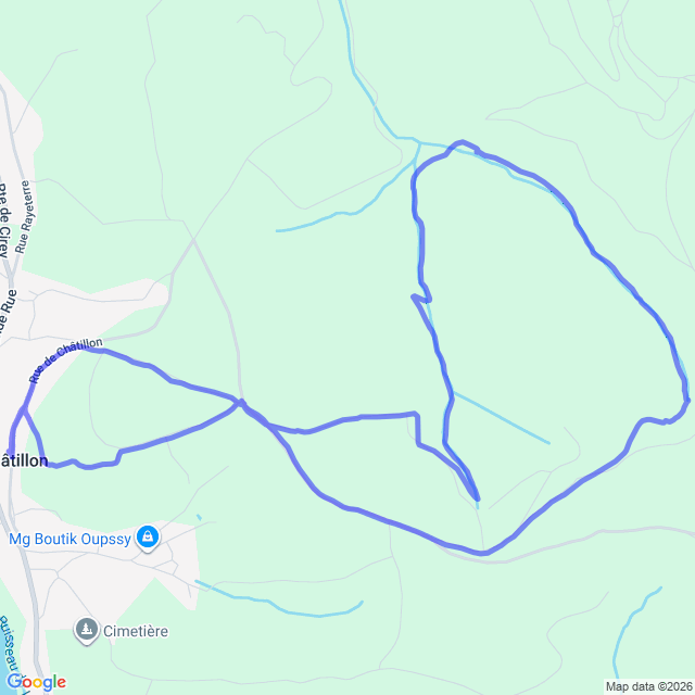 carte google