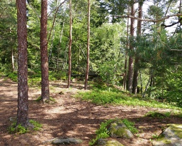 Grand Rommelstein