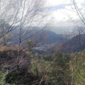 Roche aux cochons