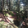 Sentier des roches
