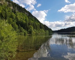 Lac Maclon