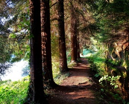 20180816 083516 (3011 visits) 20180816 083516