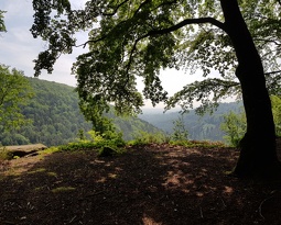 Rando à Saverne with my mom