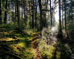 20180816 083421 (2785 visits) 20180816 083421