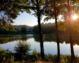 20180816 083559 (3046 visits) 20180816 083559