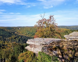20181006 102353 2