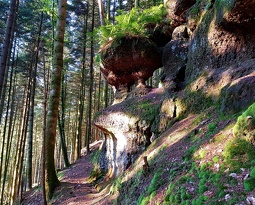 20180816 083446 (2763 visits) 20180816 083446