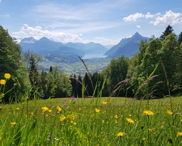 20190601 154101~2 (2983 visites) 20190601 154101~2